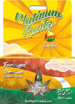 Platinum Runtz Strain Feminized