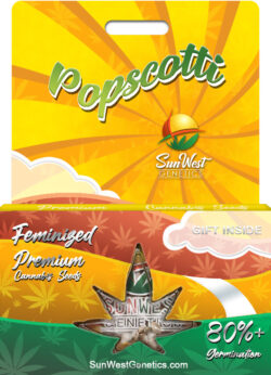 Popscotti Strain Feminized