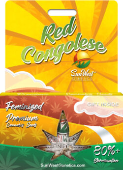 Red Congolese Strain Feminized