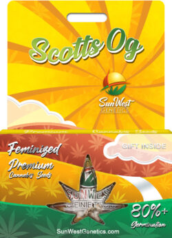 Scotts OG Strain Feminized