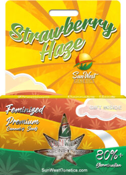 Strawberry Haze Strain Feminized