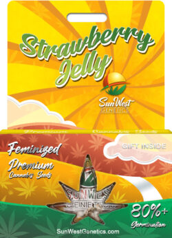 Strawberry Jelly Strain Feminized