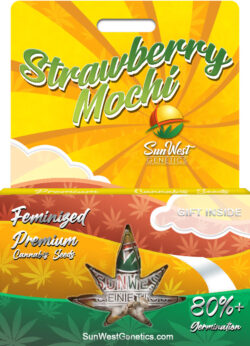 Strawberry Mochi Strain Feminized