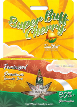 Super Buff Cherry Strain Feminized