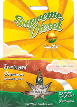 Supreme Diesel Strain Feminized