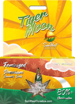 Tiger Moon Strain Feminized