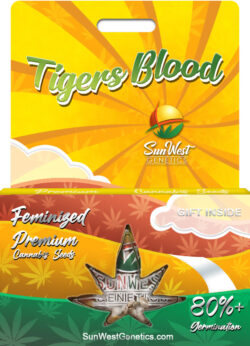 Tigers Blood Strain Feminized