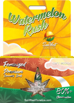 Watermelon Rush Strain Feminized