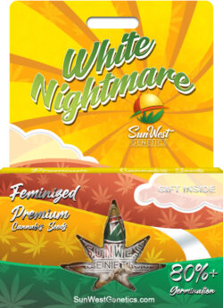 White Nightmare Strain Feminized