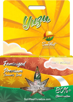 Yuzu Strain Feminized