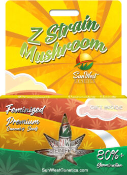 Z Strain Mushroom Feminized