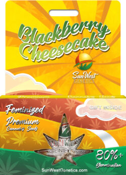 Blackberry Cheesecake Strain Feminized