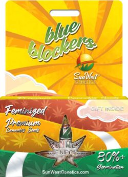 Blue Blockers Strain Feminized