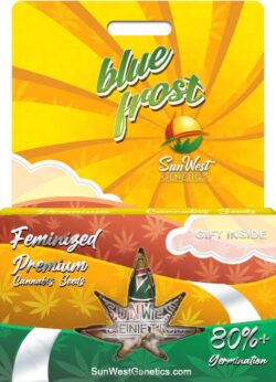 Blue Frost Strain Feminized