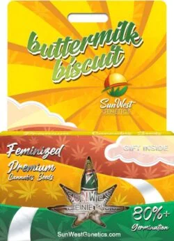 Buttermilk Biscuits Strain Feminized