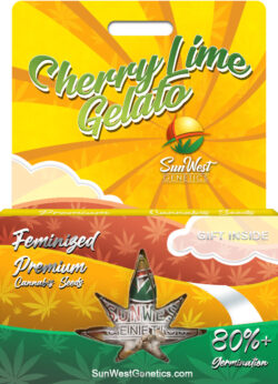 Cherry Lime Gelato Strain Feminized