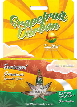 Grapefruit Durban Strain Feminized