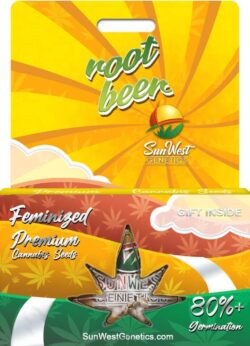 Root Beer Strain Feminized