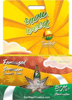 Snow Weed Strain Feminized