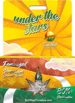 Under The Stars Strain Feminized