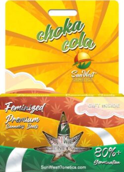 Choka Cola Strain Feminized