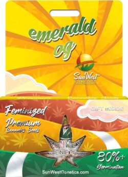 Emerald OG Strain Feminized