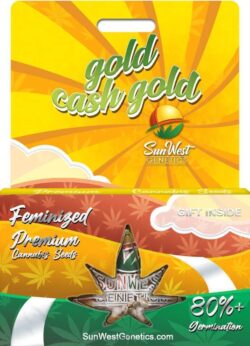 Gold Cash Gold Strain Feminized