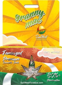 Granny Mac Strain Feminized