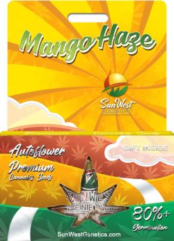 Mango Haze Autoflower