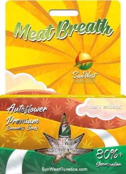 Meat Breath Autoflower