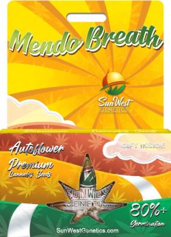 Mendo Breath Autoflower