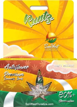 Runtz Autoflower